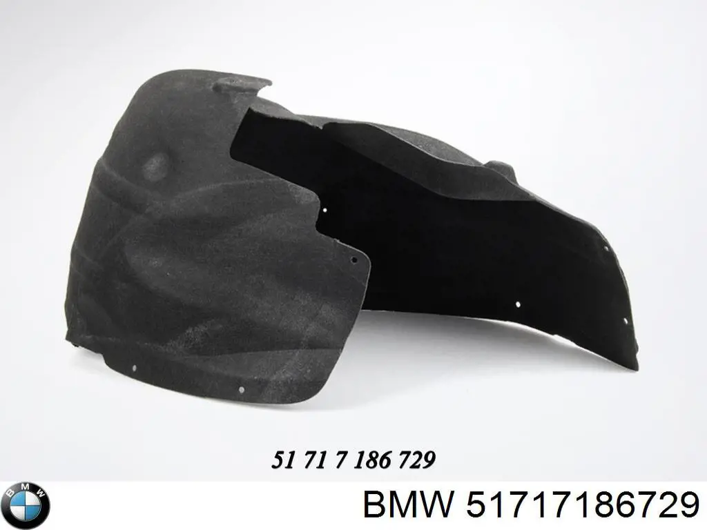 Guardabarros interior, aleta trasera, izquierdo para BMW 5 (F10)