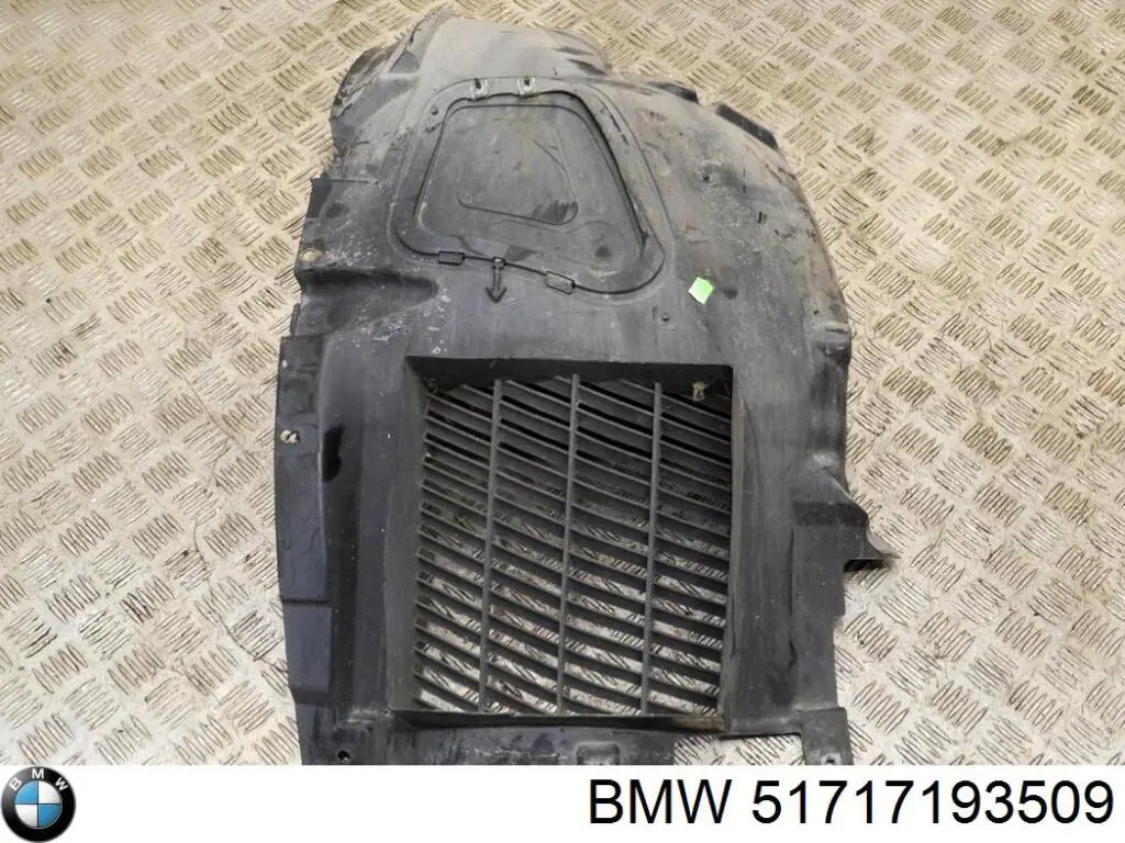 51717193509 BMW Guardalodos delantero izquierdo