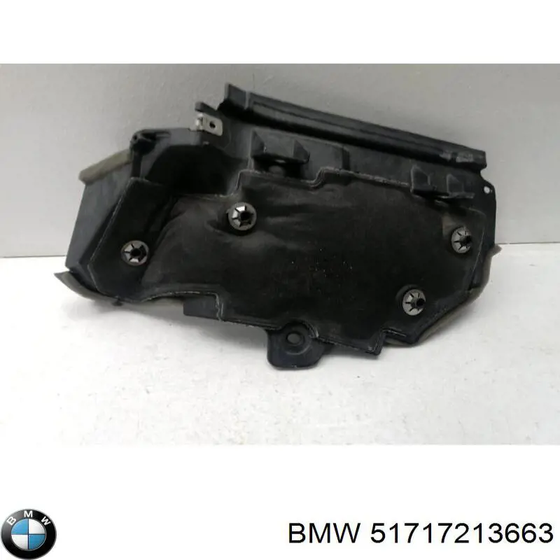 51717213663 BMW