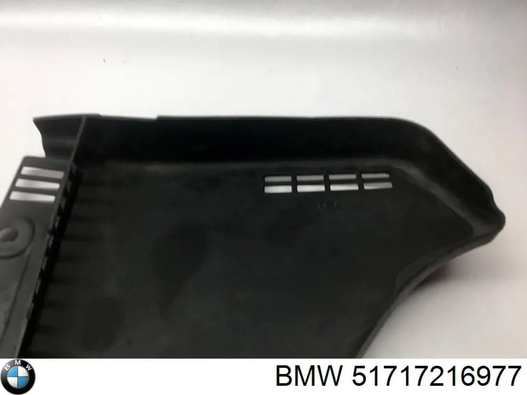 Rejilla izquierda de limpiaparabrisas BMW 51717216977 precio, desde 35,56 EUR