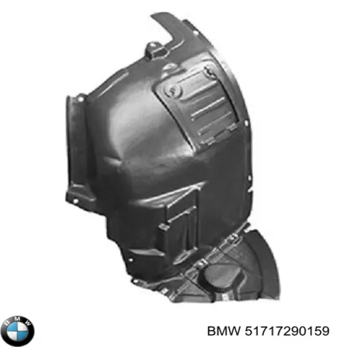 51717290159 BMW Guardalodos delantero izquierdo