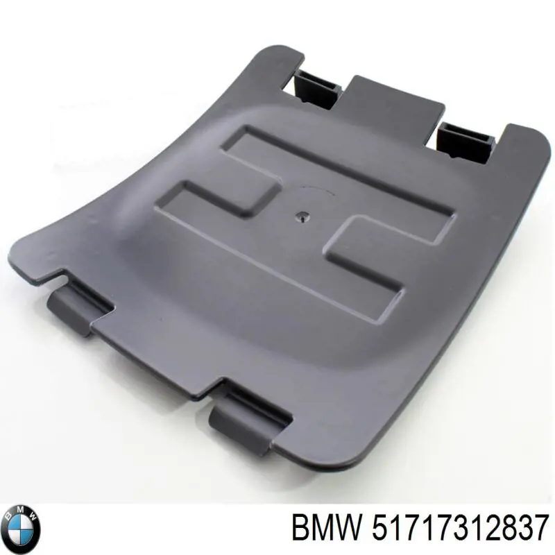 Guardalodos delantero izquierdo BMW 51717312837 precio, desde 93,26 EUR