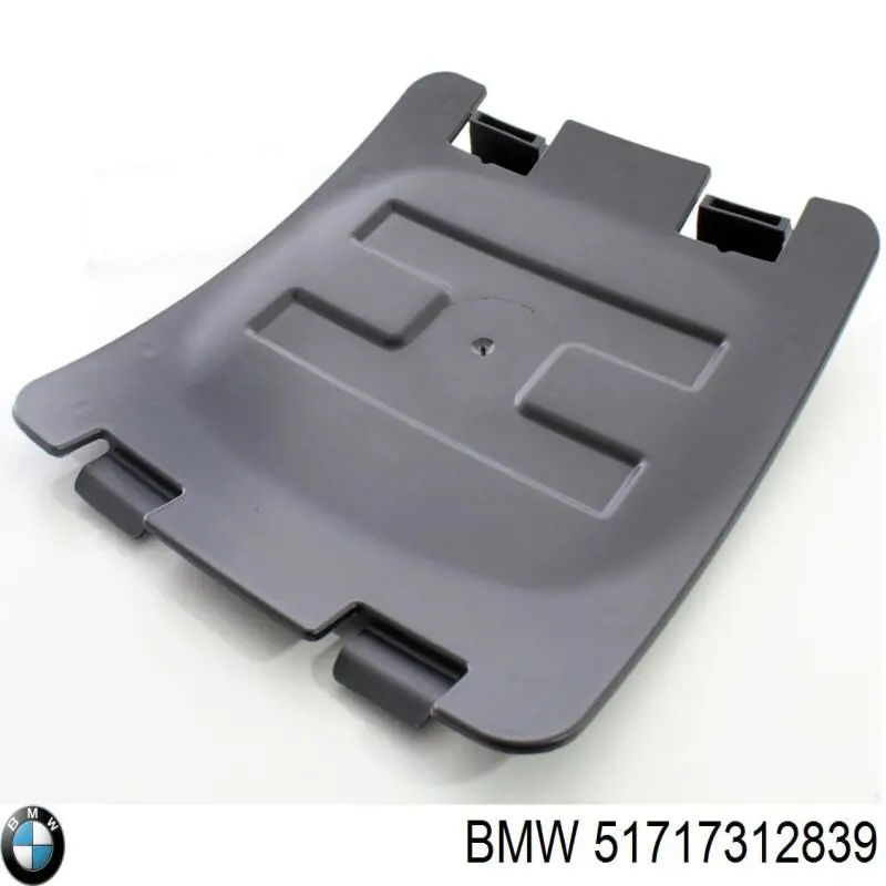 51717312839 BMW guardabarros interior, aleta delantera, izquierdo delantero