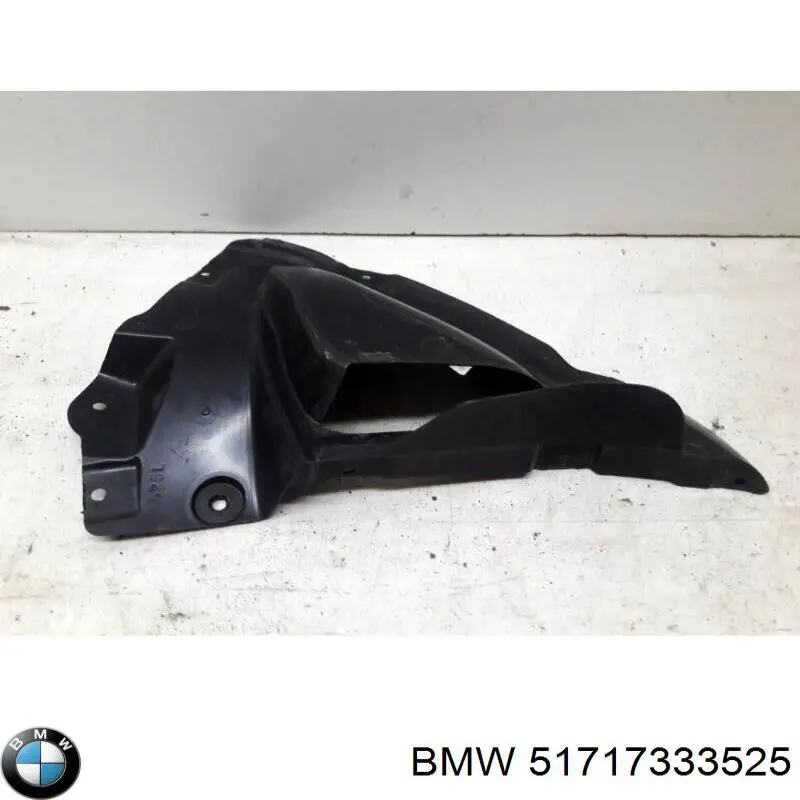 51717333525 BMW Protección izquierda del motor