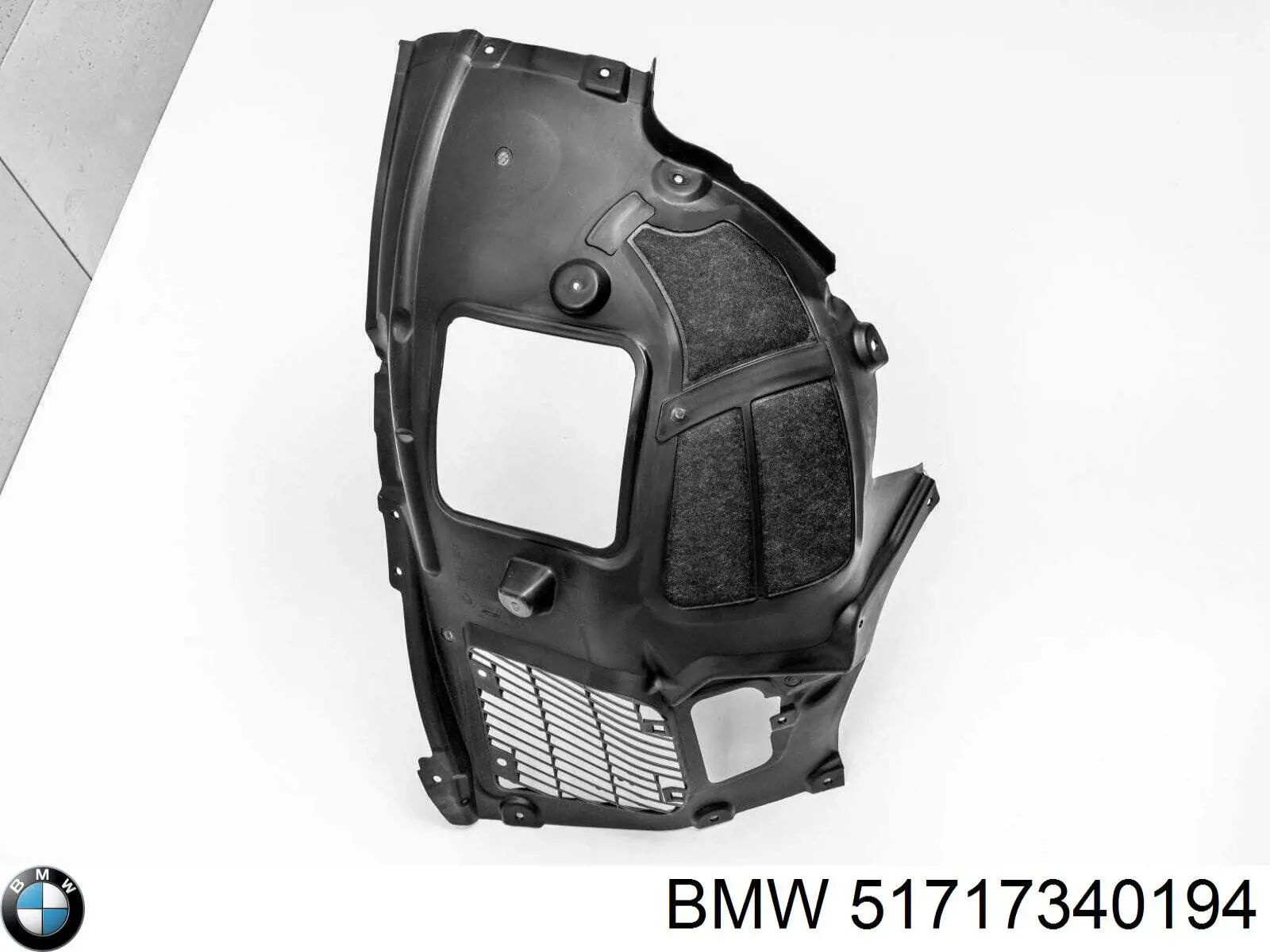Comprar 51717340194 BMW Guardalodos interior delantero derecho