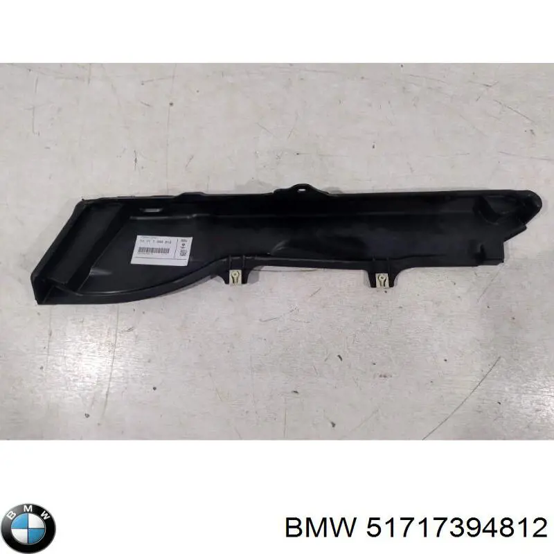 51717394812 BMW