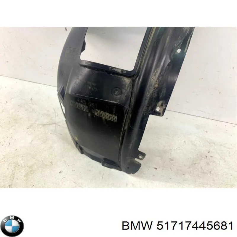 Comprar 51717445681 BMW Guardalodos delantero izquierdo