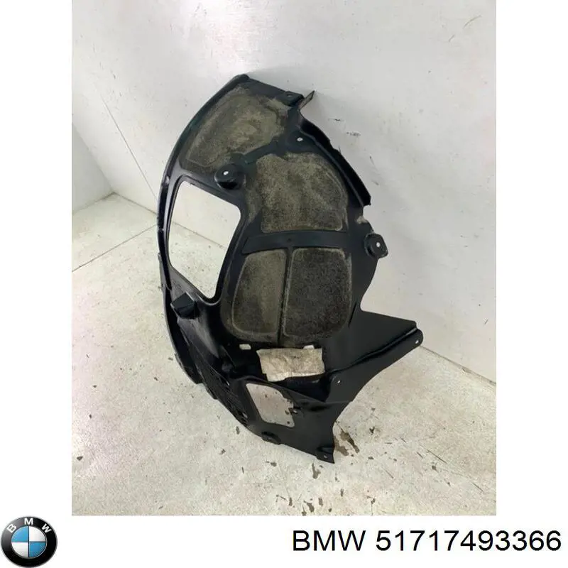 Comprar 51717493366 BMW Guardalodos interior delantero derecho
