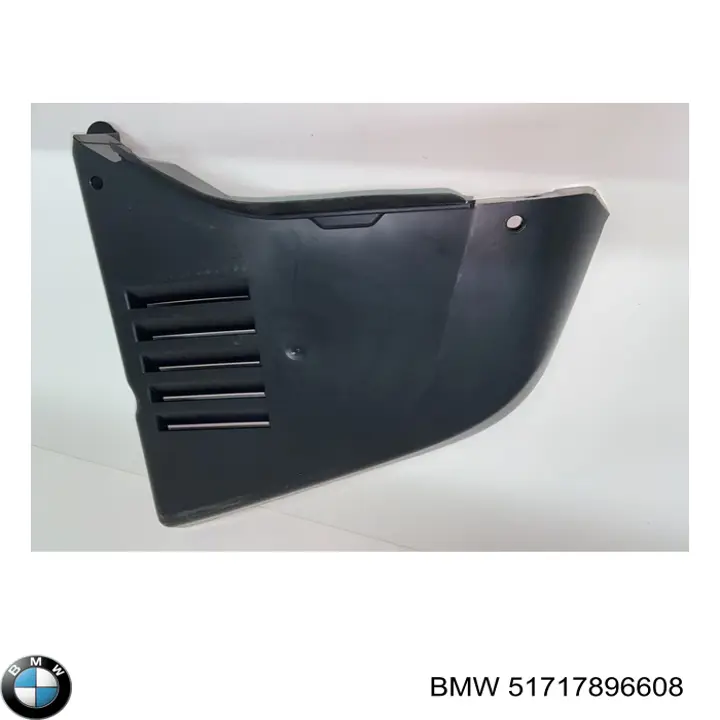 Comprar 51717896608 BMW Protector contra salpicaduras del paso de rueda delantero