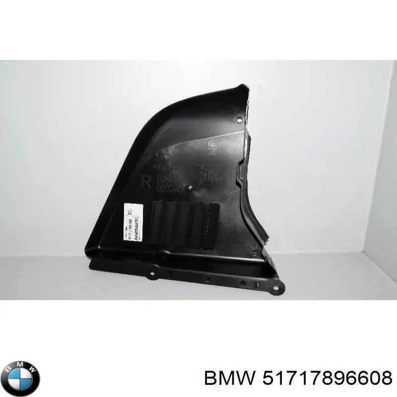 51717896608 BMW protección motor derecha