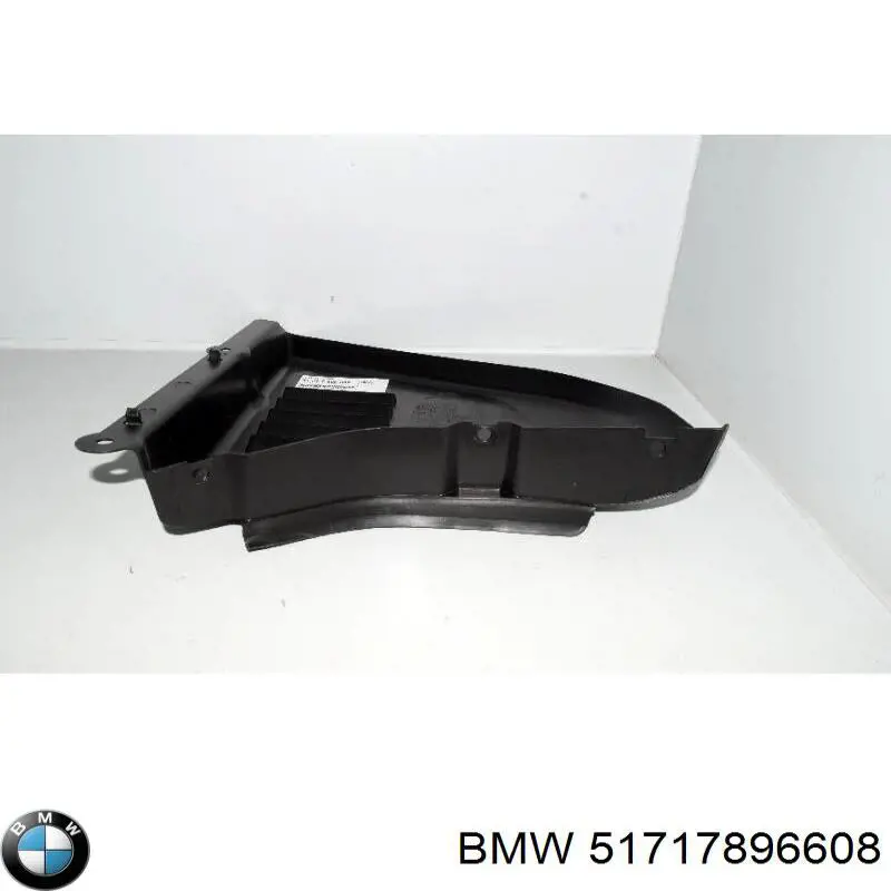 Protector contra salpicaduras del paso de rueda delantero BMW 51717896608 precio, desde 16,58 EUR