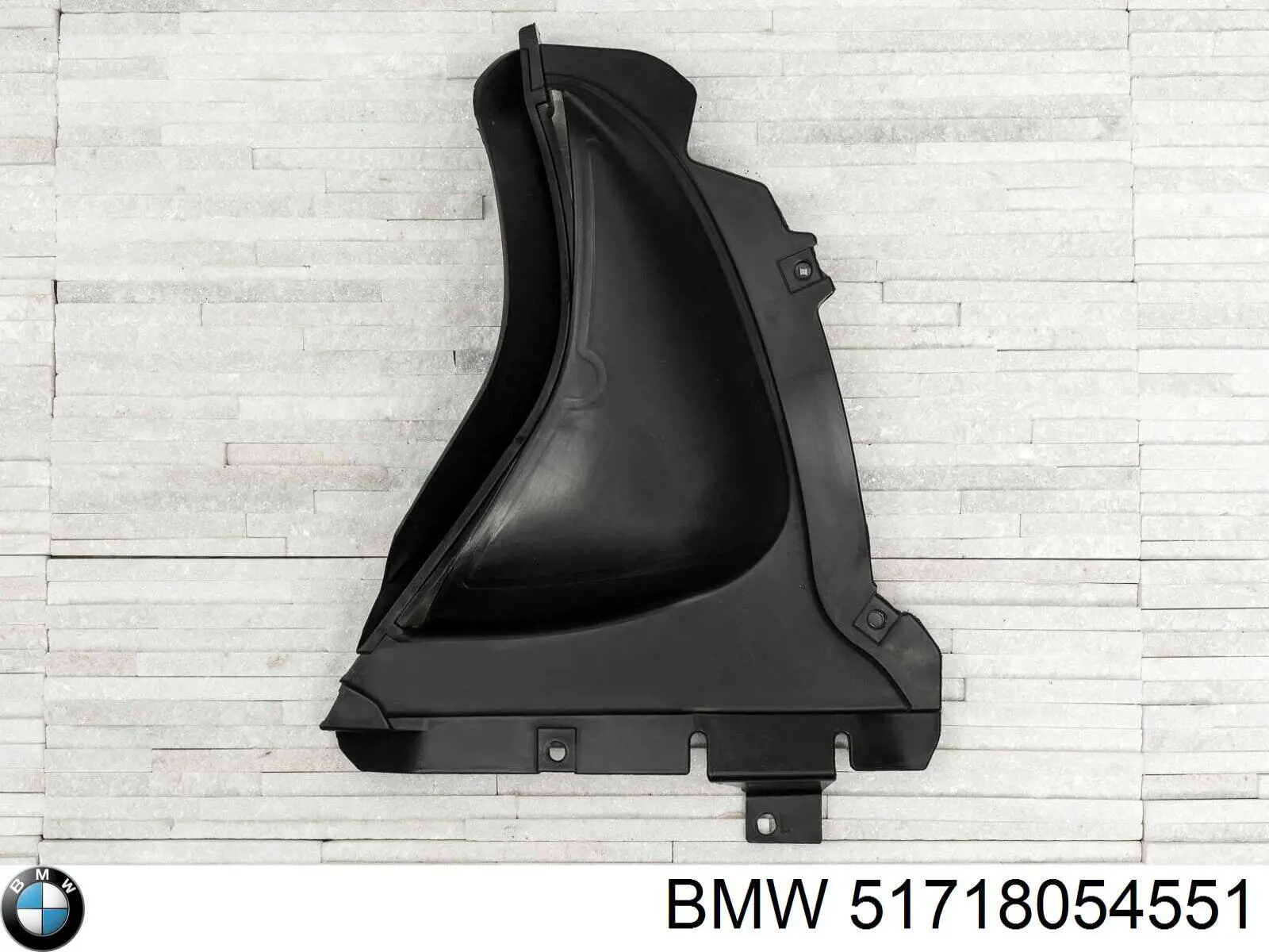 51718054551 BMW protección motor izquierda