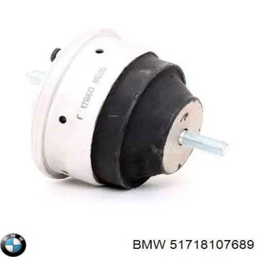 Sello del maletero (puerta trasera 3/5) BMW 51718110499 precio, desde 170,21 EUR