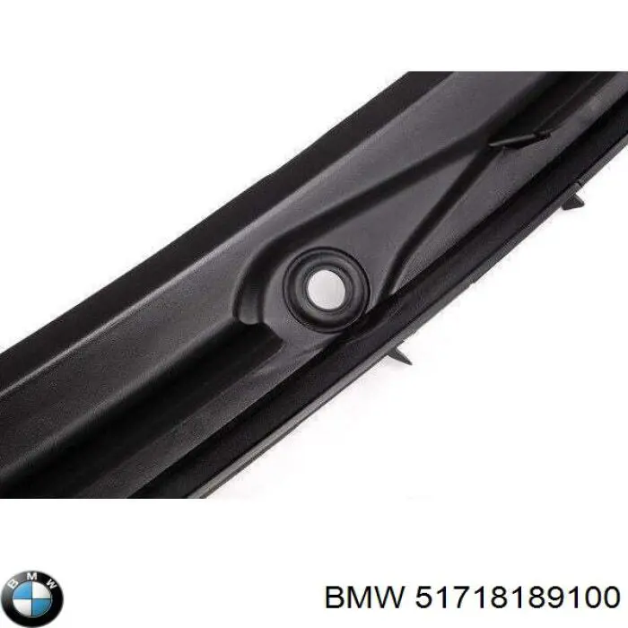 51718189100 BMW