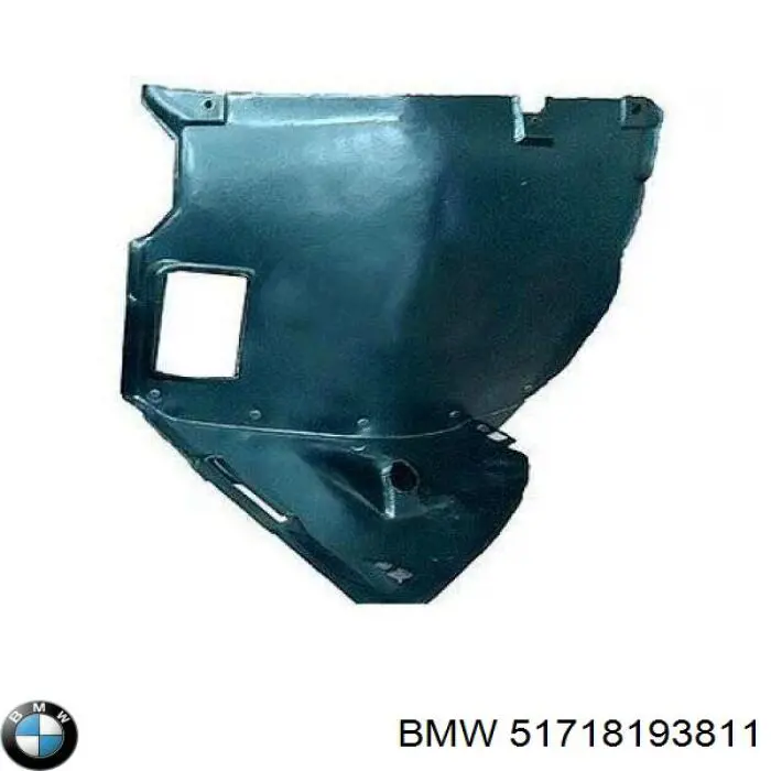 Comprar 51718193811 BMW Guardalodos delantero izquierdo
