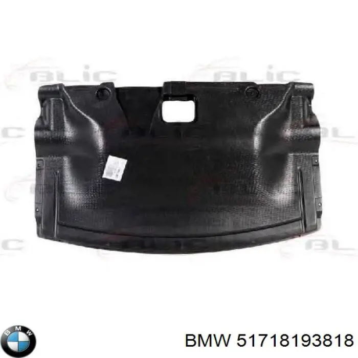 51718193818 BMW protección motor delantera