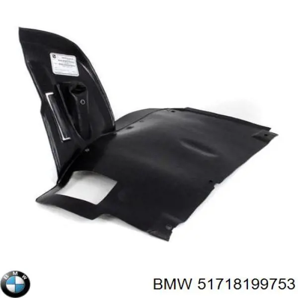 51718199753 BMW protección motor izquierda