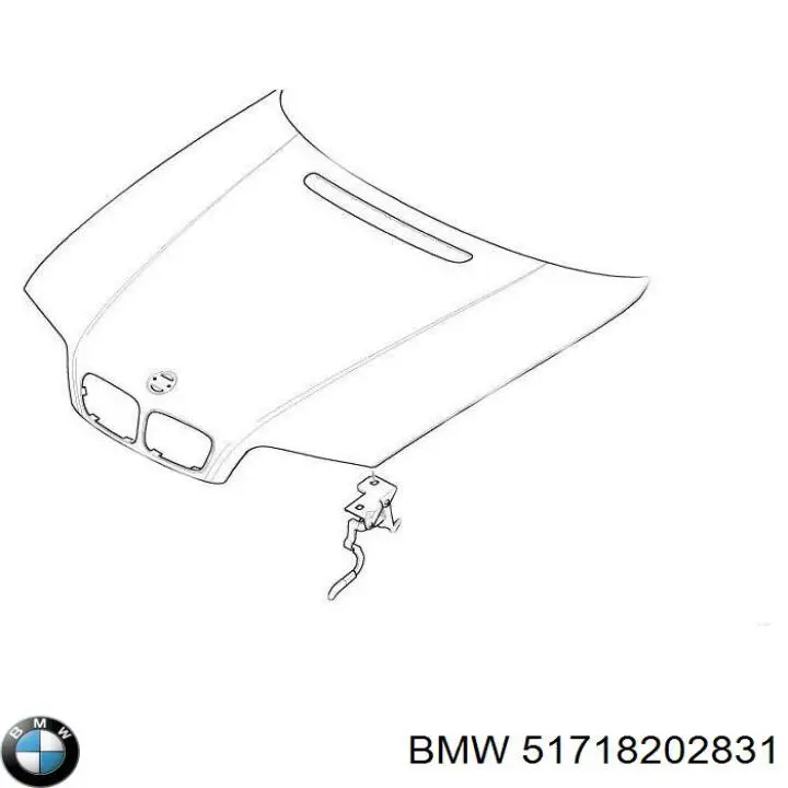 51718202831 BMW deflector de aire, radiador