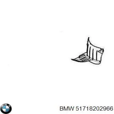 51718202966 BMW