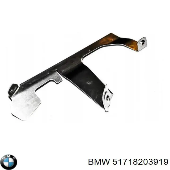 51718203919 BMW