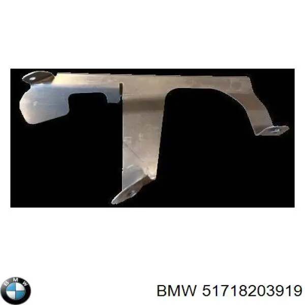  BMW 51718203919 precio, desde 30,93 EUR