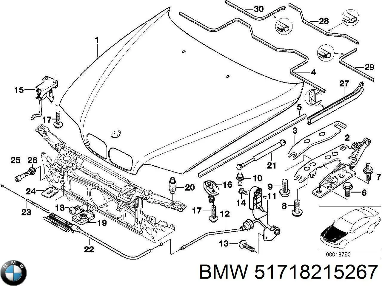 Comprar 51718215267 BMW 