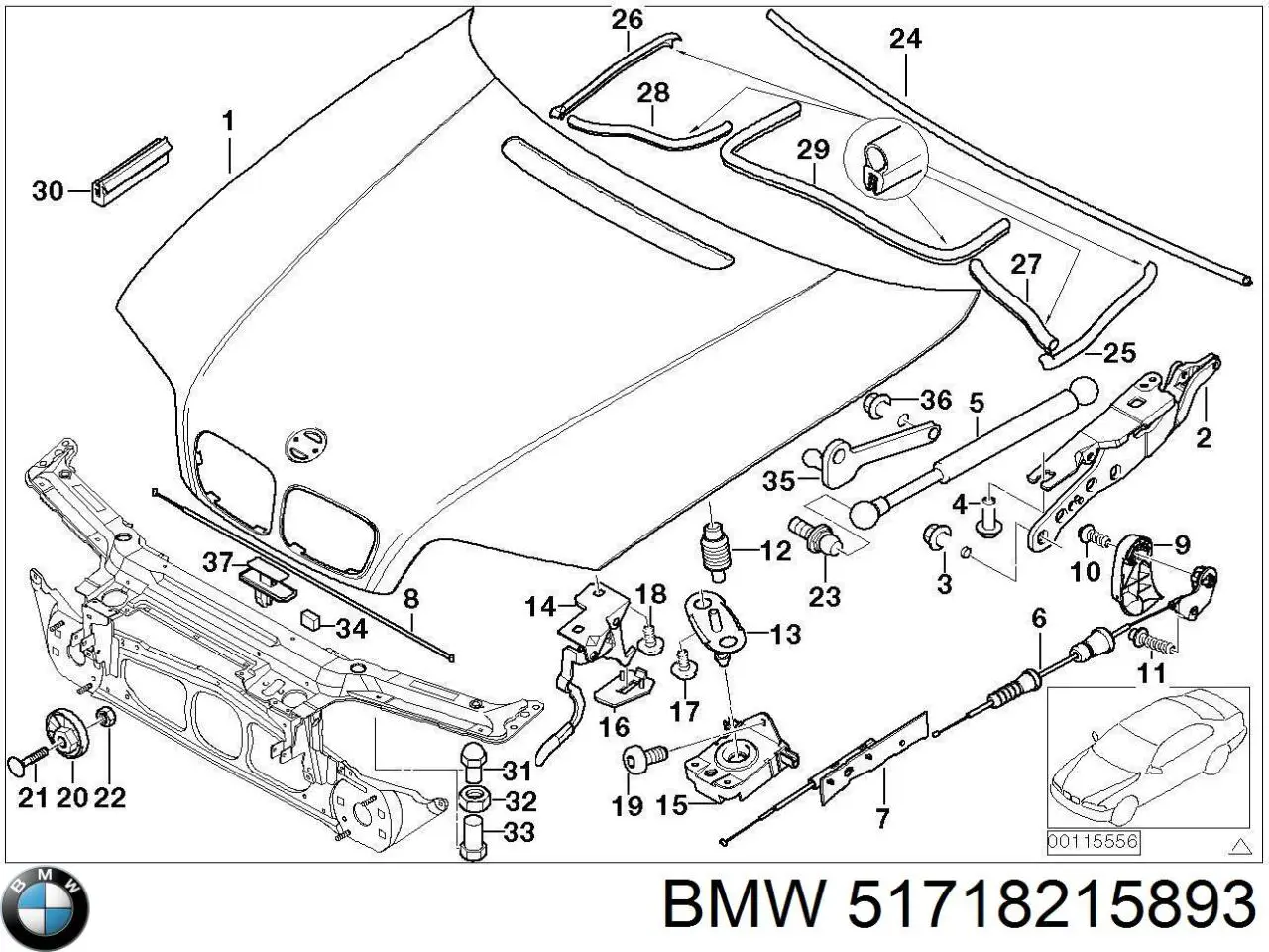 51718215893 BMW