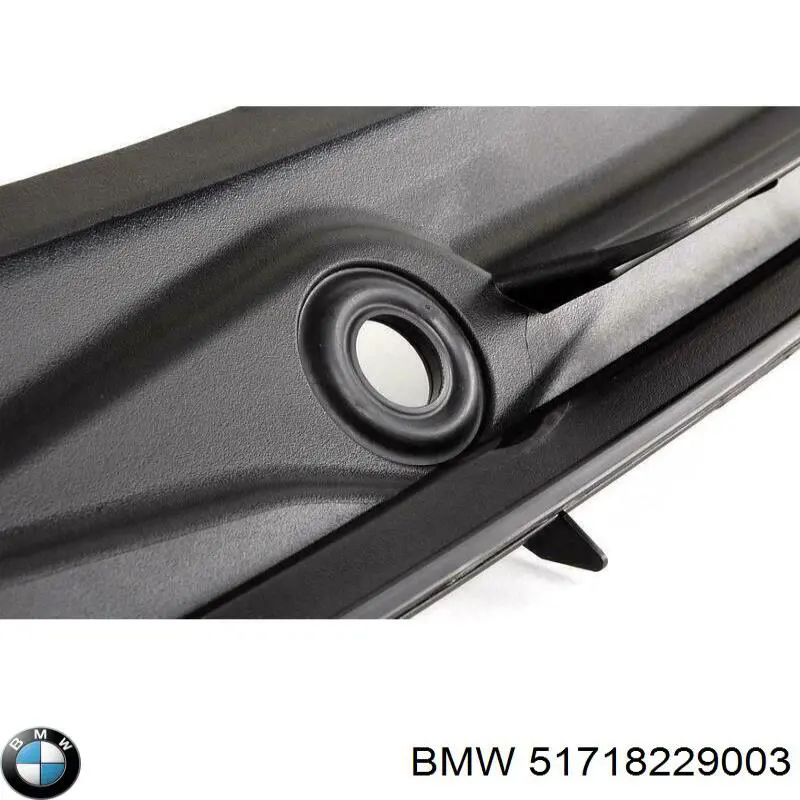  BMW 51718229003 precio, desde 0,91 EUR