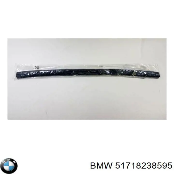  BMW 51718238595 precio, desde 31,18 EUR