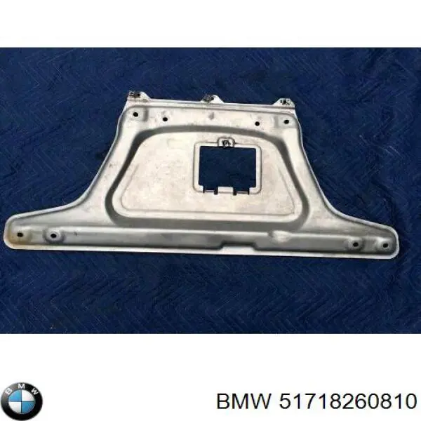 51718260810 BMW protección motor /empotramiento