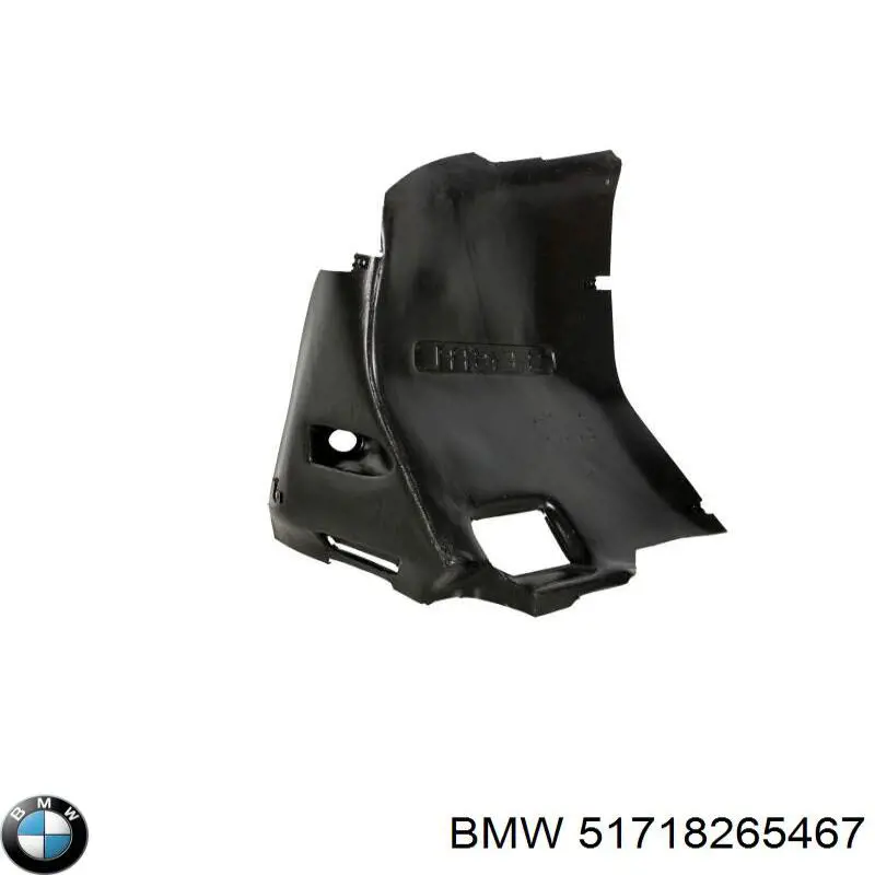 51718265467 BMW Paso de rueda delantero izquierdo trasero