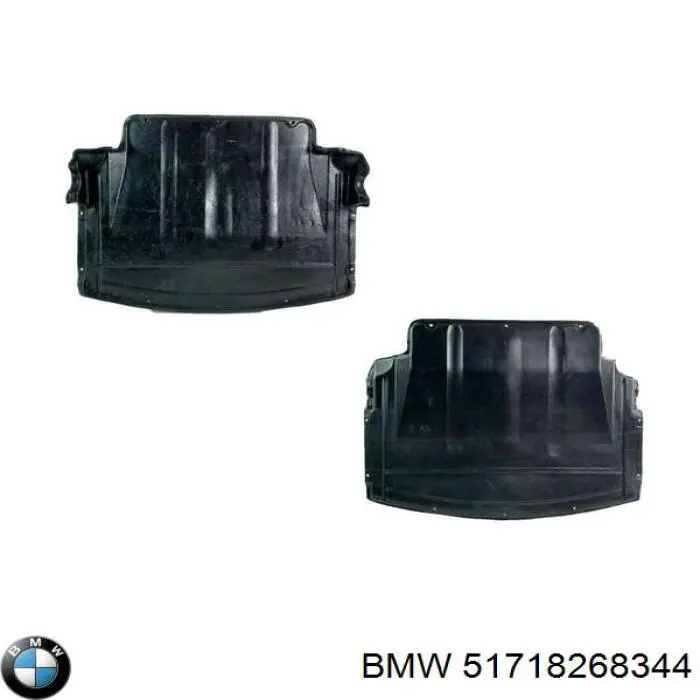Protector antiempotramiento del motor  BMW 51714355940