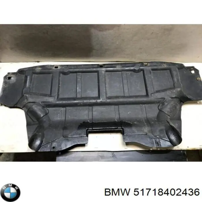 Protección delantera del motor BMW 51718402436 precio, desde 44,97 EUR