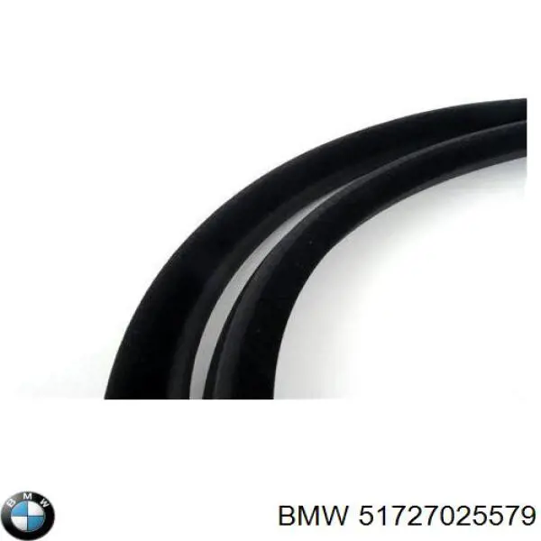 Junta de puerta delantera (en la carrocería) BMW 51727025579 precio, desde 173,77 EUR