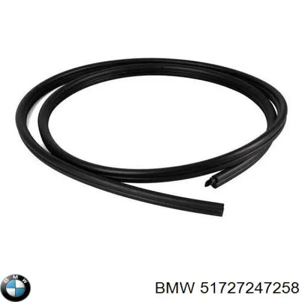 Junta de puerta delantera (en la carrocería) BMW 51727164811 precio, desde 168,64 EUR