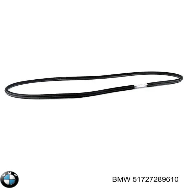 Junta de puerta delantera (en la carrocería) BMW 51727289610 precio, desde 190,56 EUR