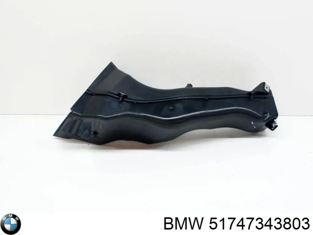 Conducto de aire del disco de freno izquierdo BMW 51747343803 precio, desde 42,68 EUR