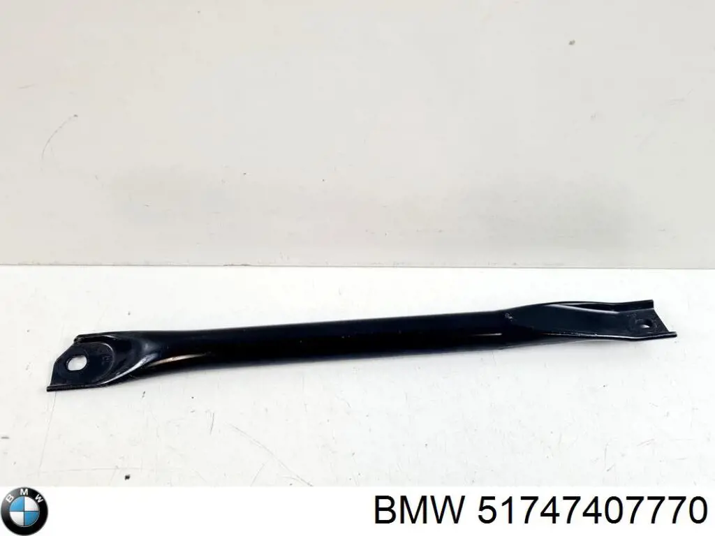  BMW 51747407770 precio, desde 30,27 EUR