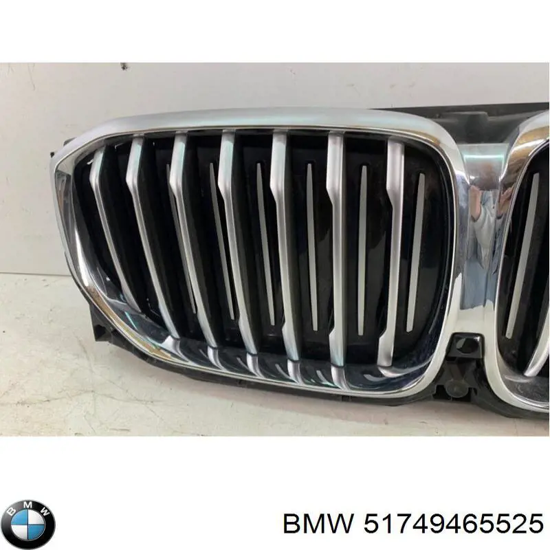 Rejilla delantera BMW 51749465525 precio, desde 504,82 EUR