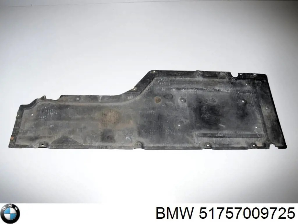 51757009725 BMW Protección inferior izquierda