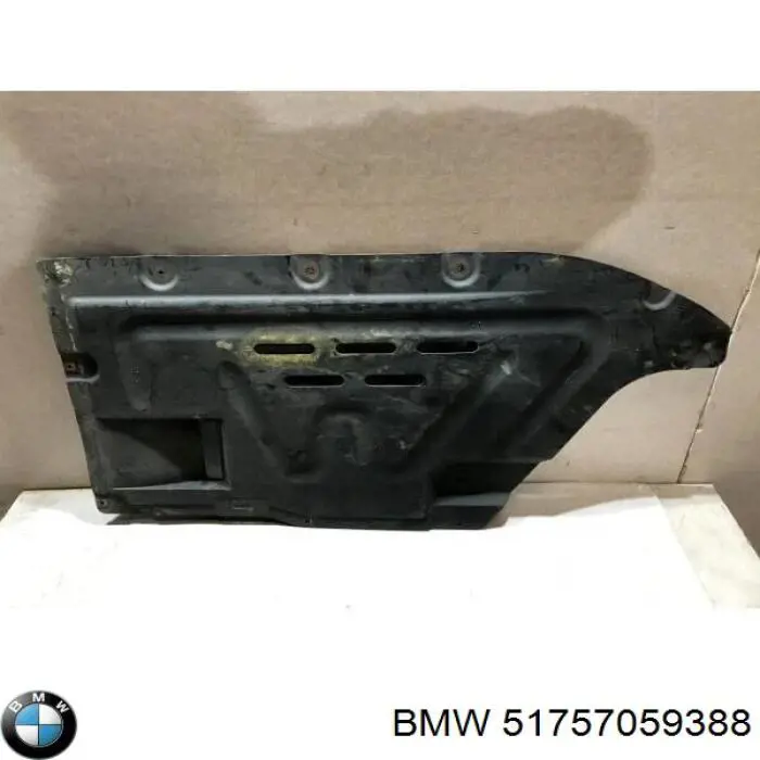 51757059388 BMW Protección de bajos, parte central