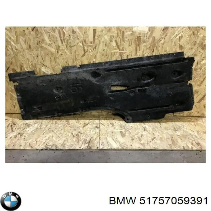 51757059391 BMW Protección inferior izquierda