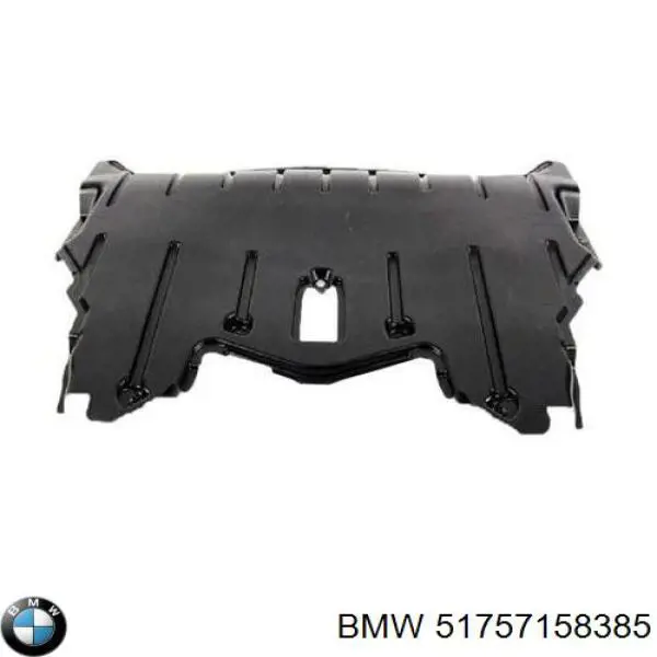 51757158385 BMW protección motor delantera