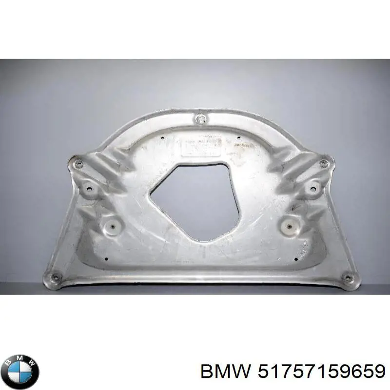 51757159659 BMW protección motor /empotramiento