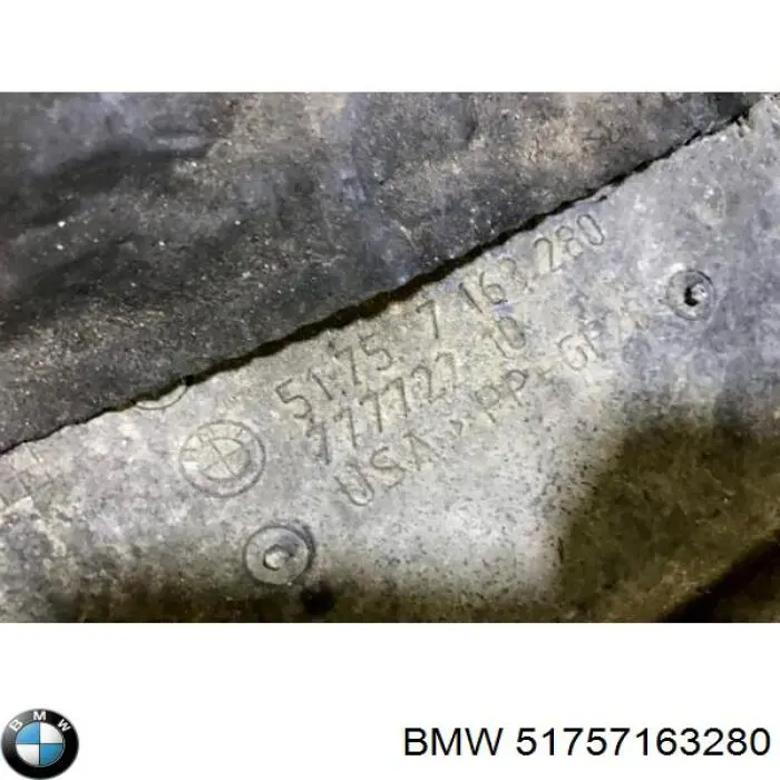 Comprar 51757163280 BMW Protección motor / empotramiento