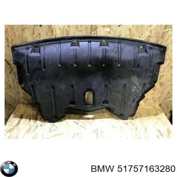 Protector antiempotramiento del motor para BMW X5 (E70)