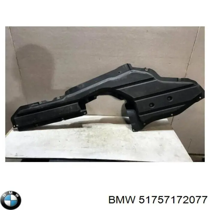 51757172077 BMW Moldura de cristal trasero