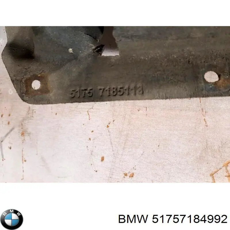 51757184992 BMW protección motor / empotramiento