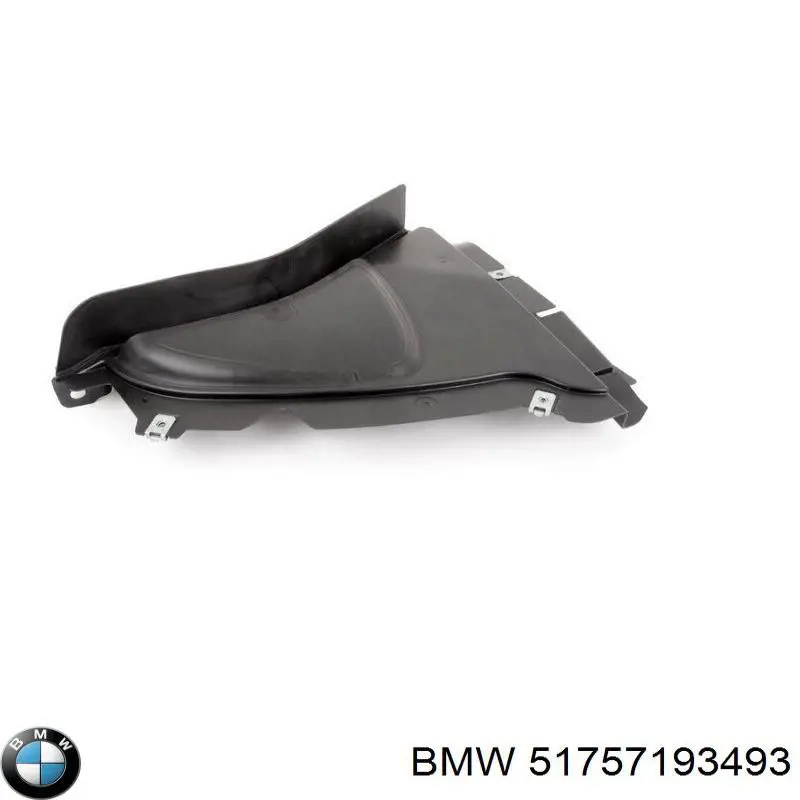 51757193493 BMW protección motor izquierda