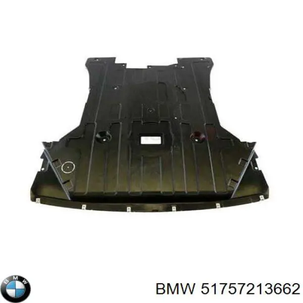 51757213662 BMW protección motor /empotramiento